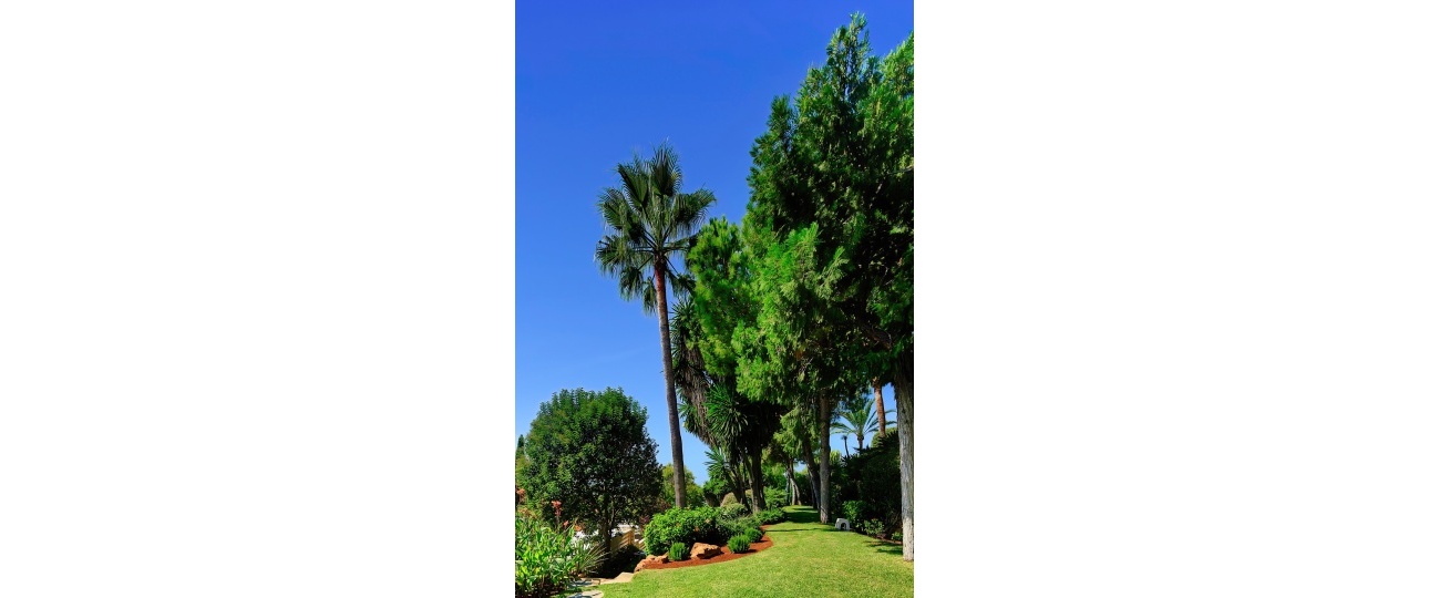 Resale - Villa - Marbella - Marbella Centro