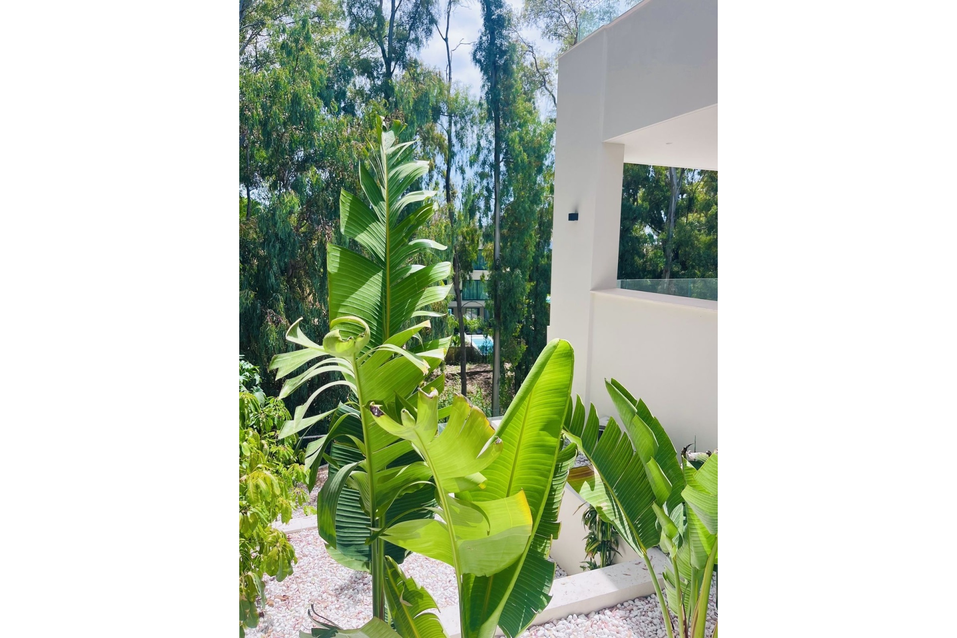 Resale - Villa - Marbella - Nueva Andalucía