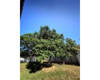 Resale - Villa - Marbella - San Pedro de Alcántara
