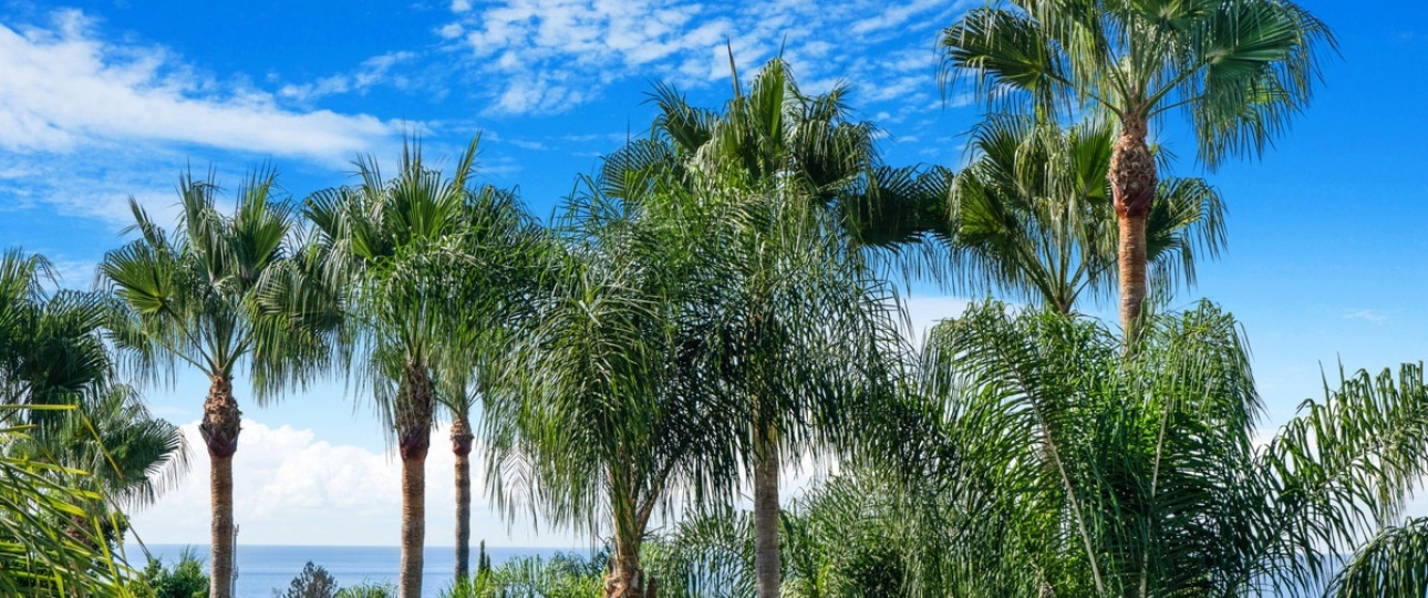 Resale - Villa - Marbella - The Golden Mile