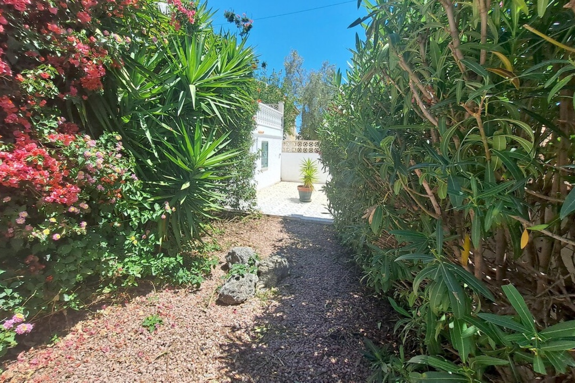 Resale - Villa - Orihuela - Blue Lagoon