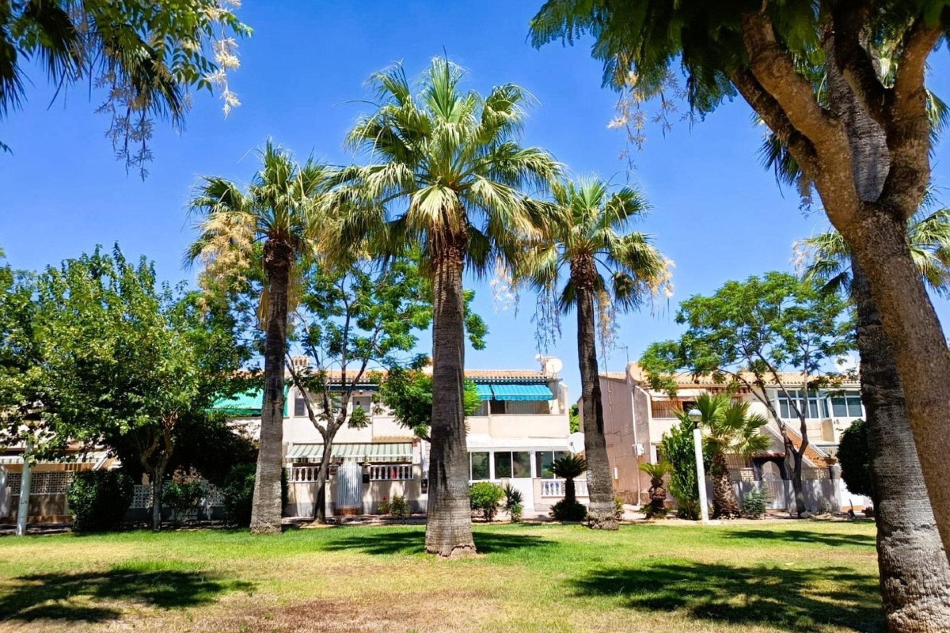 Resale - Villa - Orihuela - La Regia