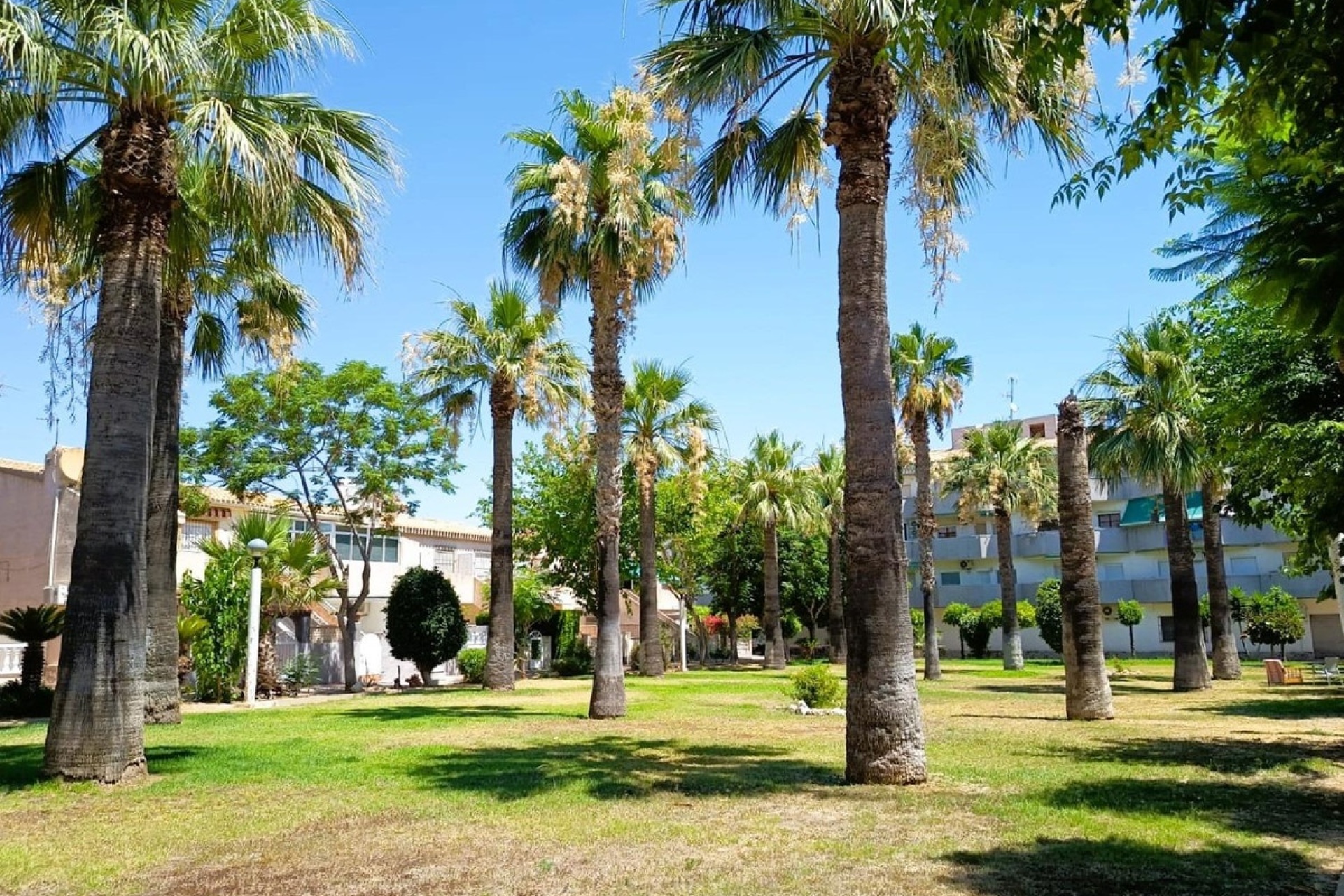 Resale - Villa - Orihuela - La Regia