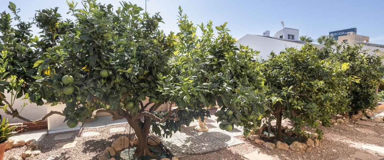 Resale - Villa - Orihuela - La Regia