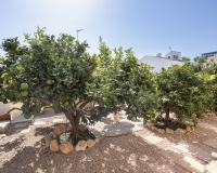Resale - Villa - Orihuela - La Regia
