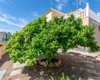 Resale - Villa - Orihuela - Orihuela Costa