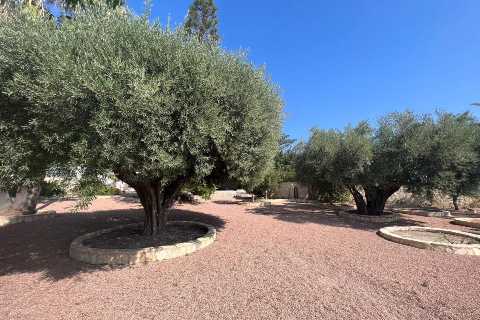 Resale - Villa - Rojales - Ciudad Quesada