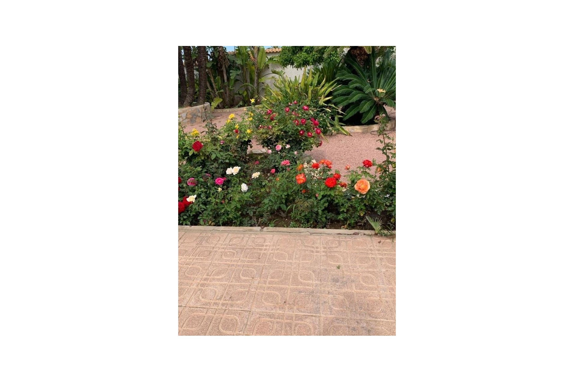 Resale - Villa - Rojales - Ciudad Quesada