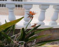 Resale - Villa - San Fulgencio - La Marina