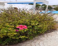 Resale - Villa - San Fulgencio - La Marina