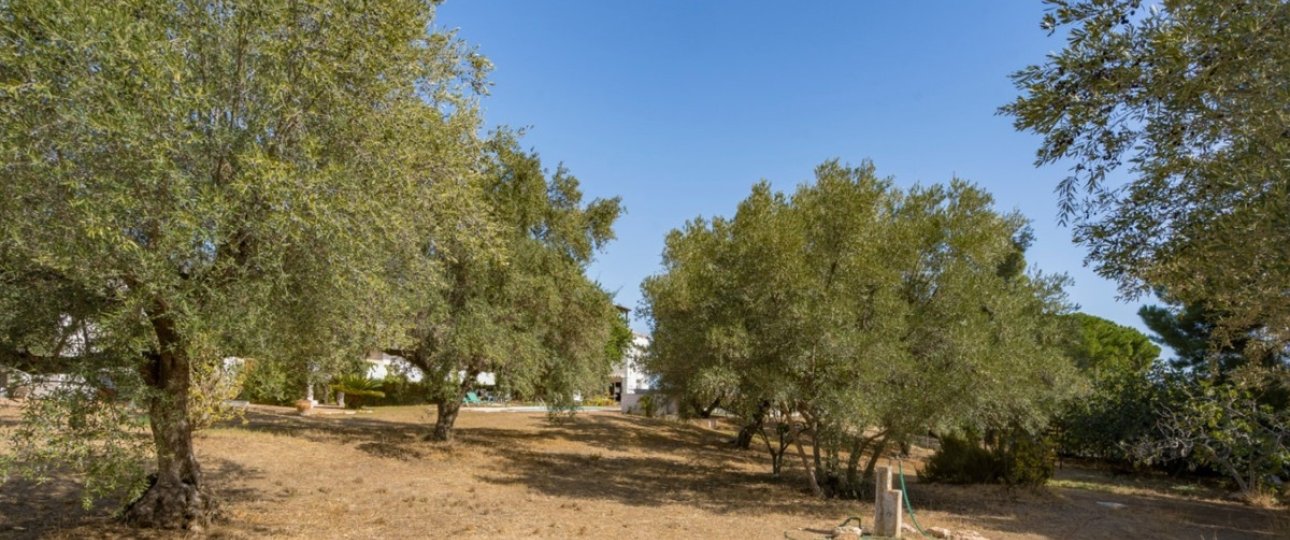 Resale - Villa - Torremolinos