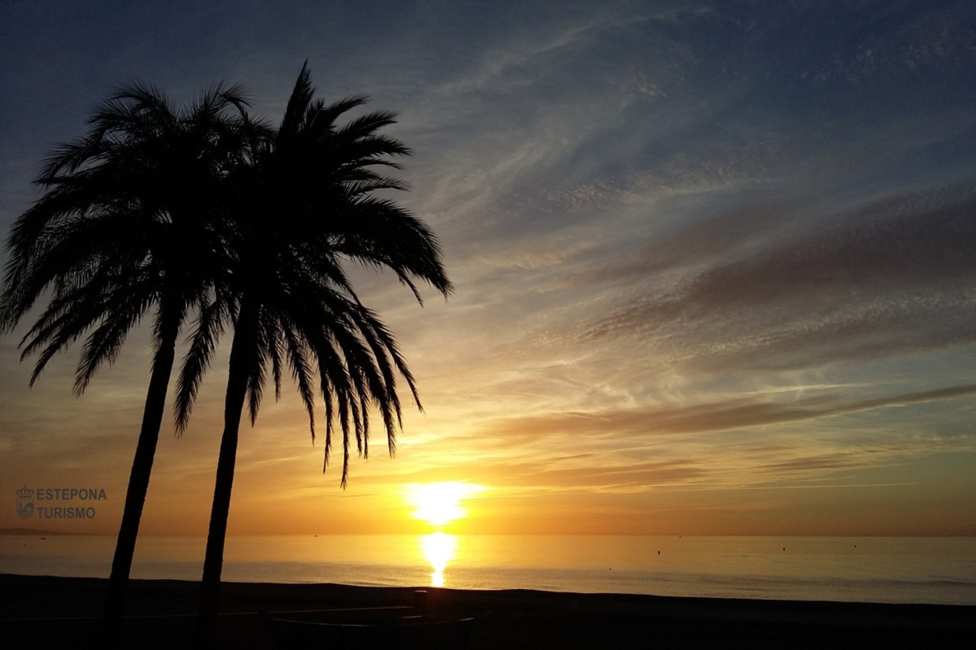 Rynek pierwotny - apartment - Estepona - Estepona Centro