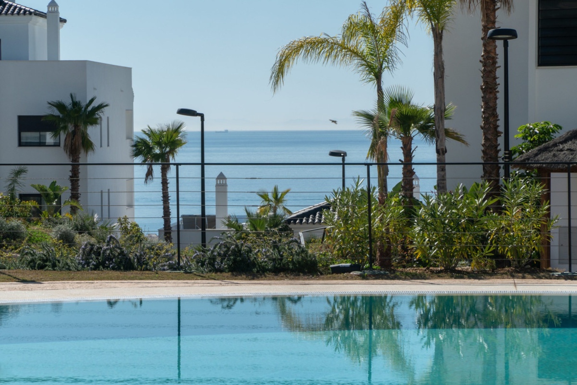 Rynek pierwotny - apartment - Estepona - Estepona Centro