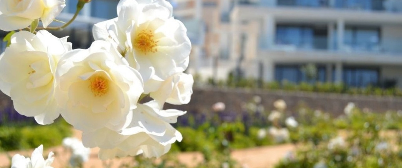Rynek pierwotny - apartment - Fuengirola - Fuengirola Centro