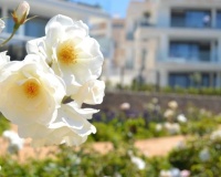 Rynek pierwotny - apartment - Fuengirola - Fuengirola Centro