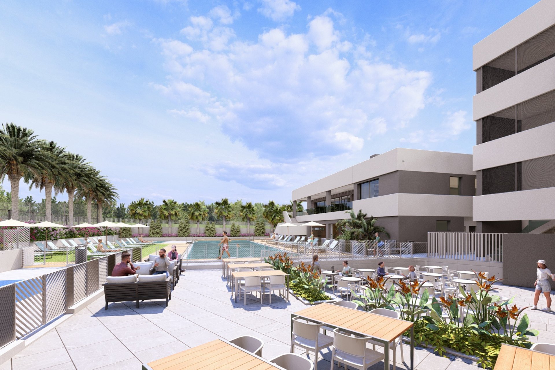 Rynek pierwotny - apartment - ﻿Torrevieja (Alicante) - Spain