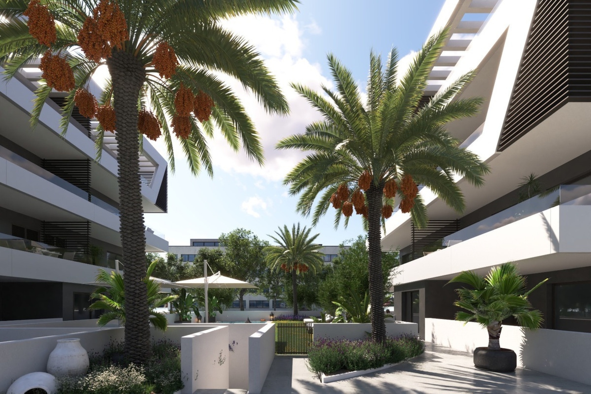 Rynek pierwotny - apartment - San Juan de Alicante - San Juan de Alicante Centro