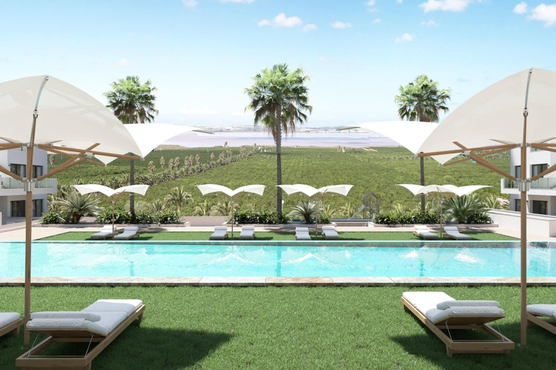 Rynek pierwotny - apartment - Torrevieja - Torrevieja Centro