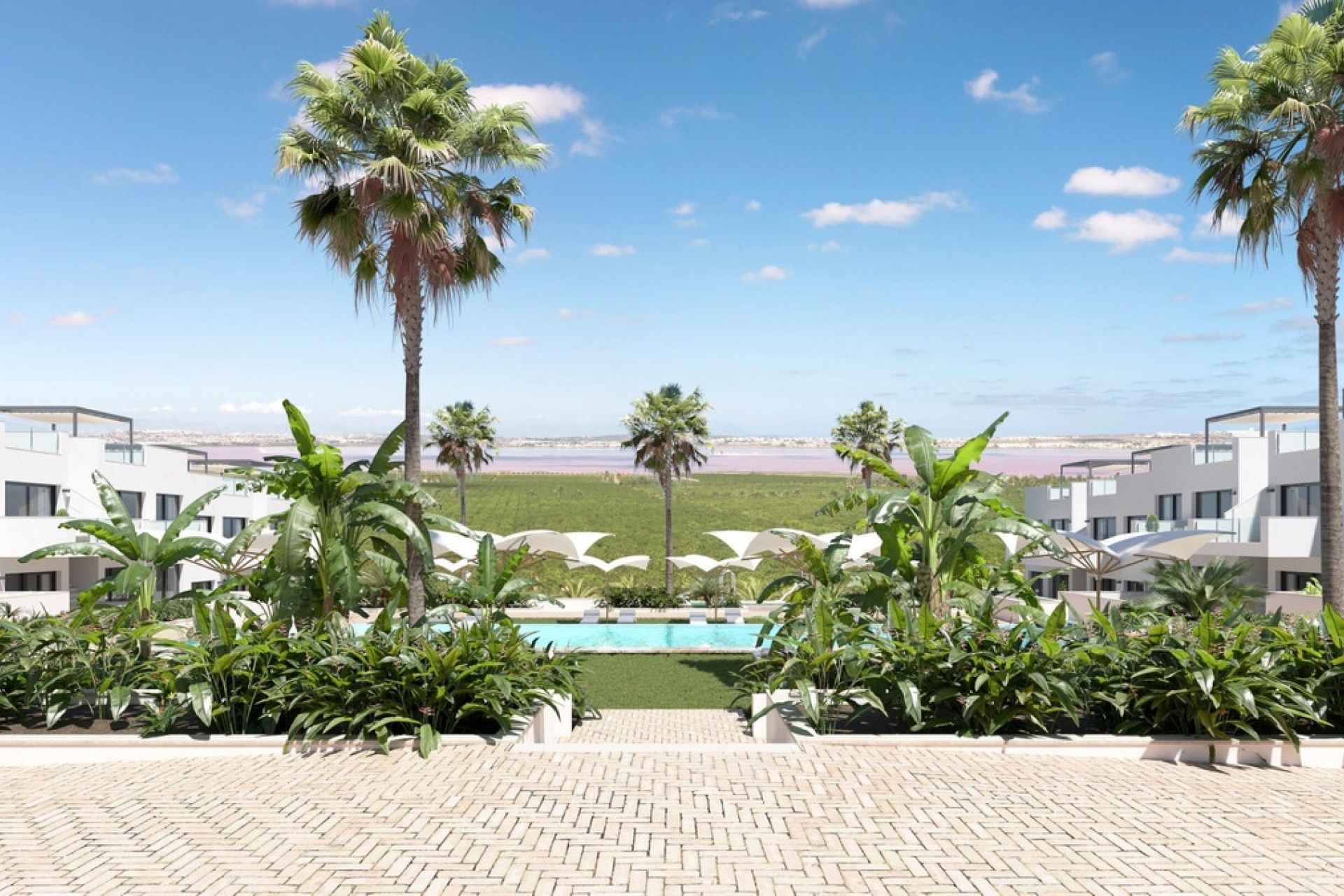 Rynek pierwotny - apartment - Torrevieja - Torrevieja Centro