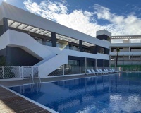 Rynek pierwotny - Bungalow - ﻿Torrevieja (Alicante) - Spain