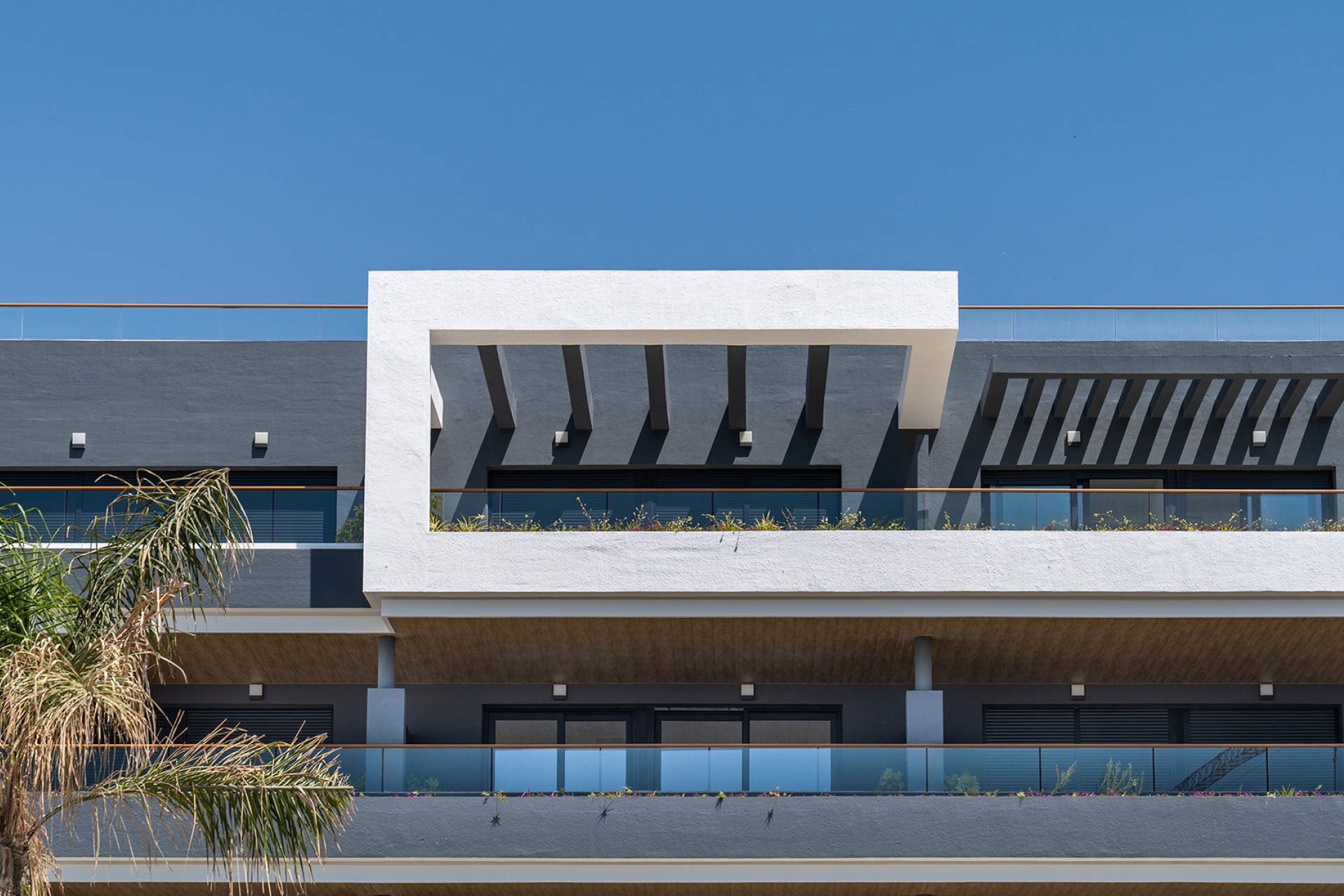 Rynek pierwotny - Bungalow - ﻿Torrevieja (Alicante) - Spain