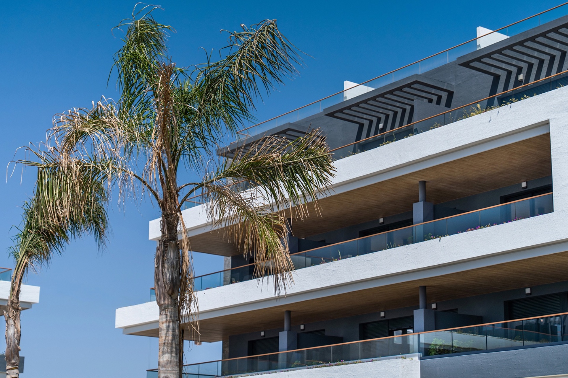 Rynek pierwotny - Bungalow - ﻿Torrevieja (Alicante) - Spain