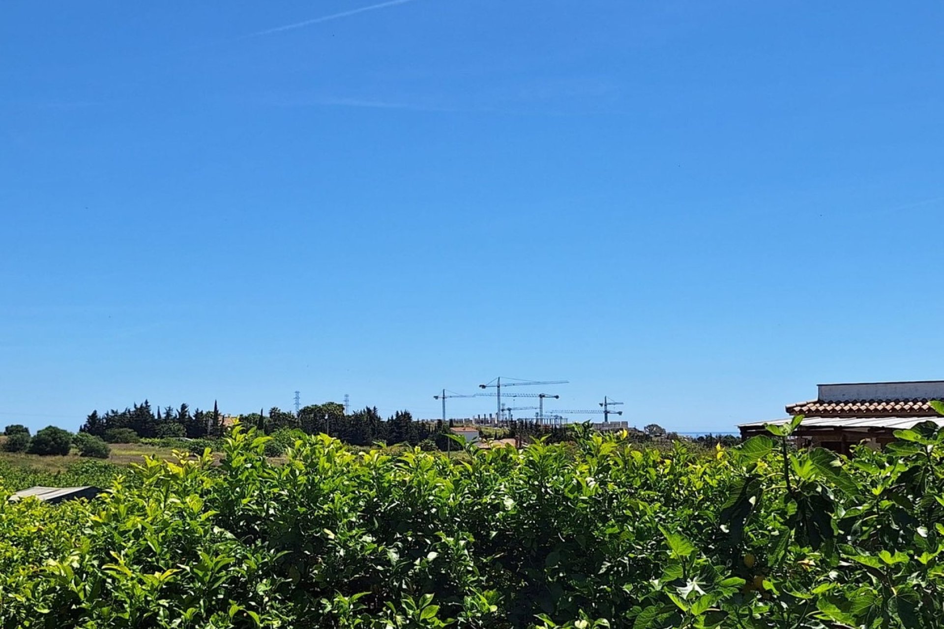 Rynek pierwotny - Country house - Estepona - Estepona Centro