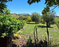 Rynek pierwotny - Country house - Estepona - Estepona Centro