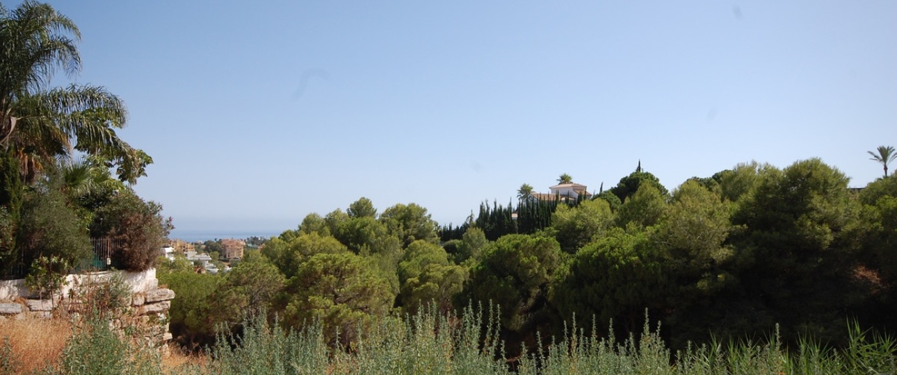 Rynek pierwotny - Villa - Estepona - Selwo