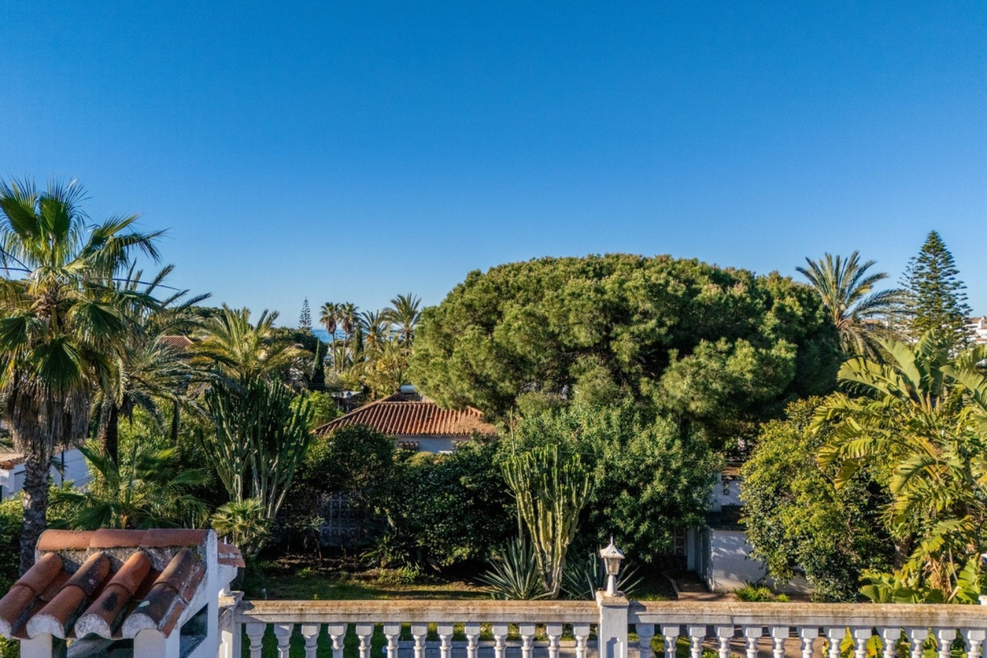 Rynek pierwotny - Villa - Marbella - Marbesa