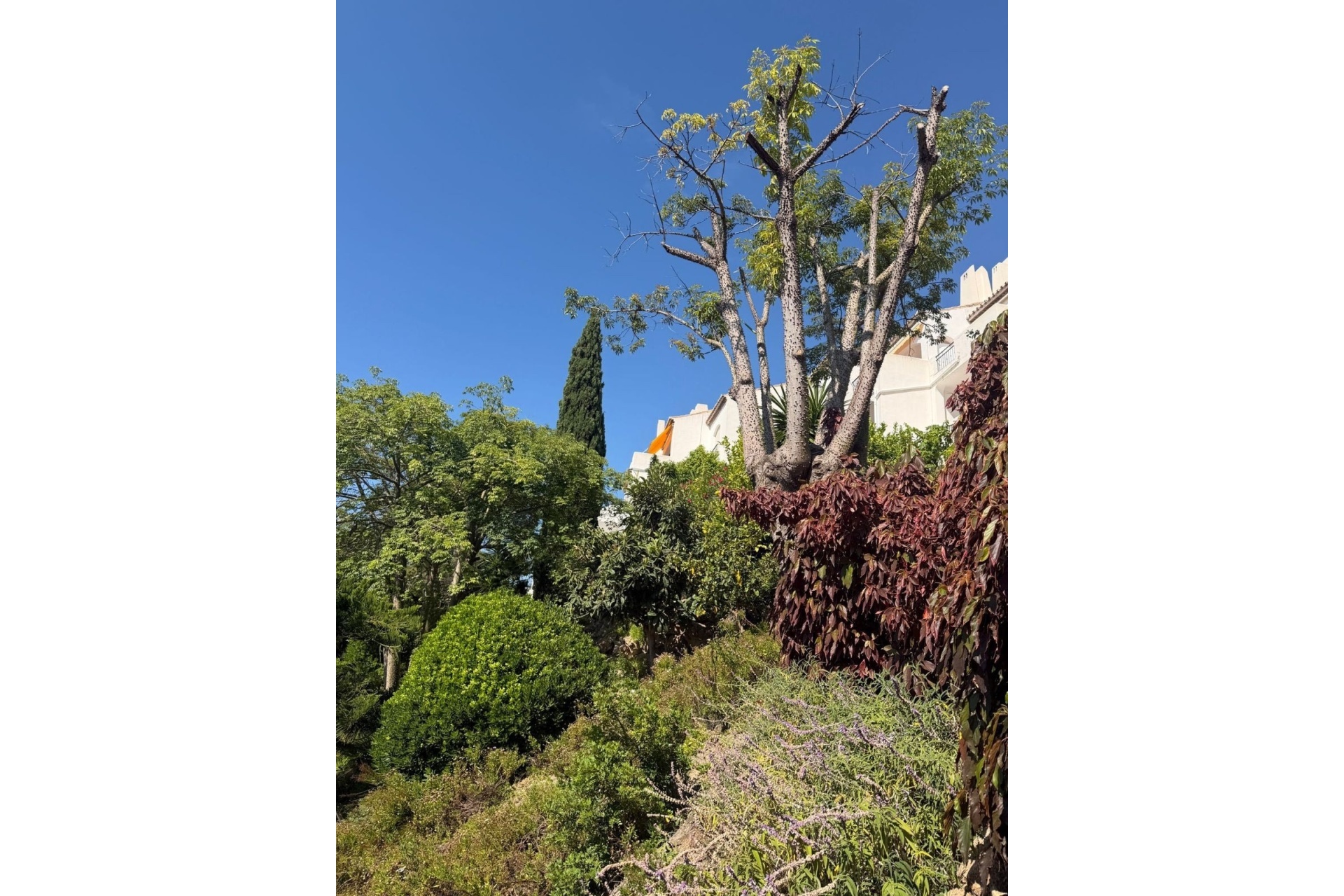 Rynek wtórny - apartment - Benahavís - Benahavís Centro