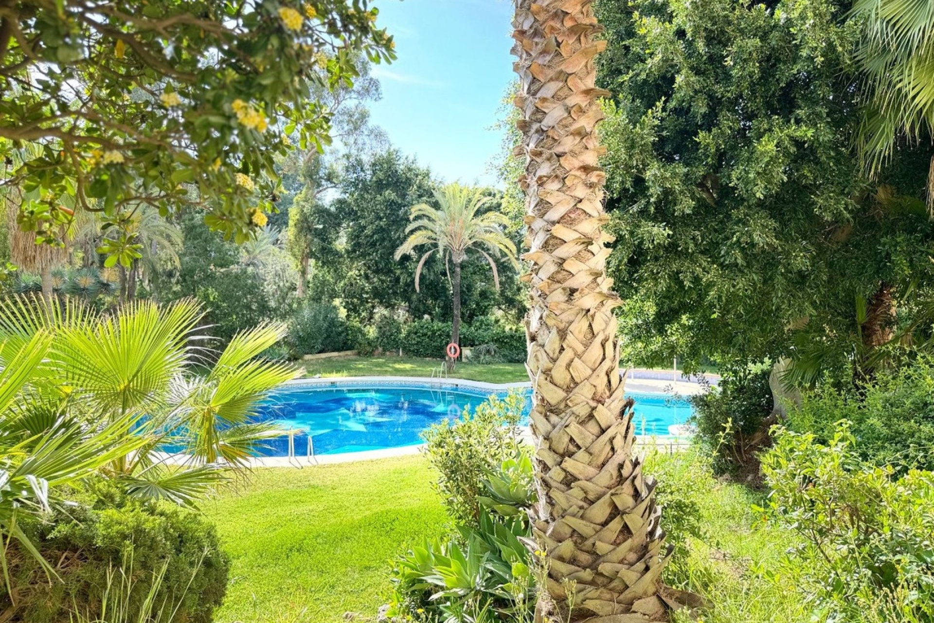 Rynek wtórny - apartment - Benalmadena - Benalmadena Centro