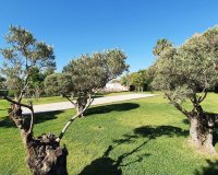Rynek wtórny - apartment - Benalmadena - Benalmadena Costa