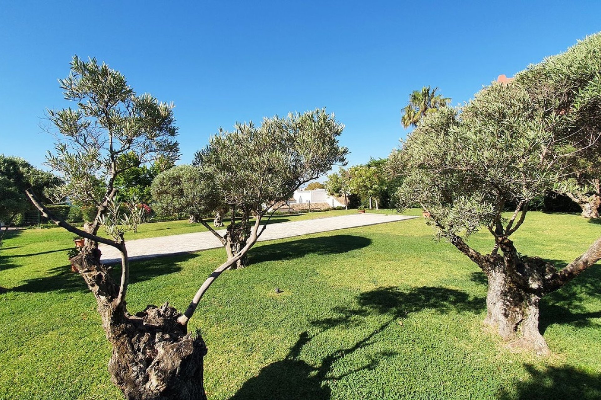 Rynek wtórny - apartment - Benalmadena - Benalmadena Costa