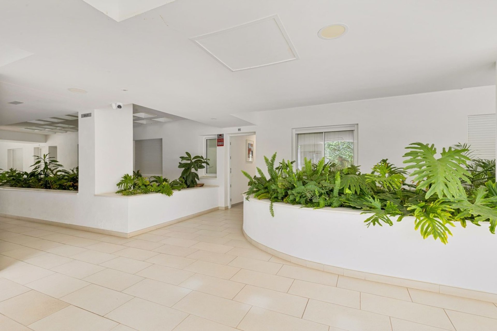 Rynek wtórny - apartment - Benalmadena - Benalmadena Costa