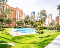 Rynek wtórny - apartment - Benidorm - Benidorm Centro