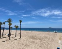 Rynek wtórny - apartment - Benidorm - Benidorm Centro