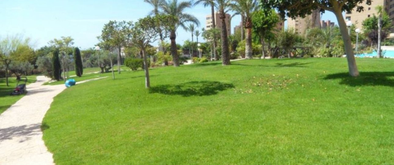 Rynek wtórny - apartment - Benidorm - Benidorm Centro