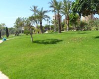 Rynek wtórny - apartment - Benidorm - Benidorm Centro