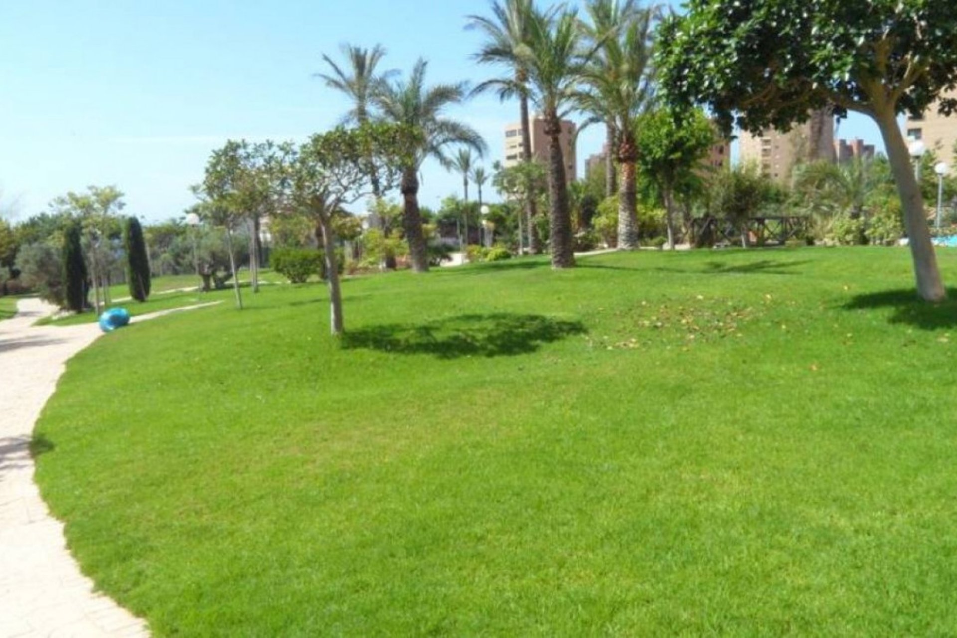 Rynek wtórny - apartment - Benidorm - Benidorm Centro