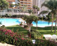 Rynek wtórny - apartment - Benidorm - Benidorm Centro