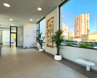 Rynek wtórny - apartment - Benidorm - Benidorm Centro