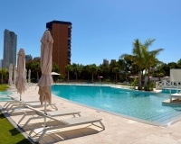 Rynek wtórny - apartment - Benidorm - Benidorm Centro