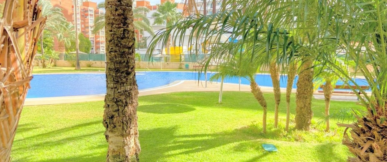 Rynek wtórny - apartment - Benidorm - Benidorm Centro
