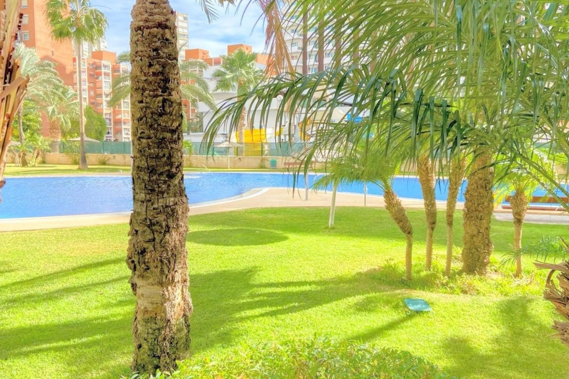 Rynek wtórny - apartment - Benidorm - Benidorm Centro