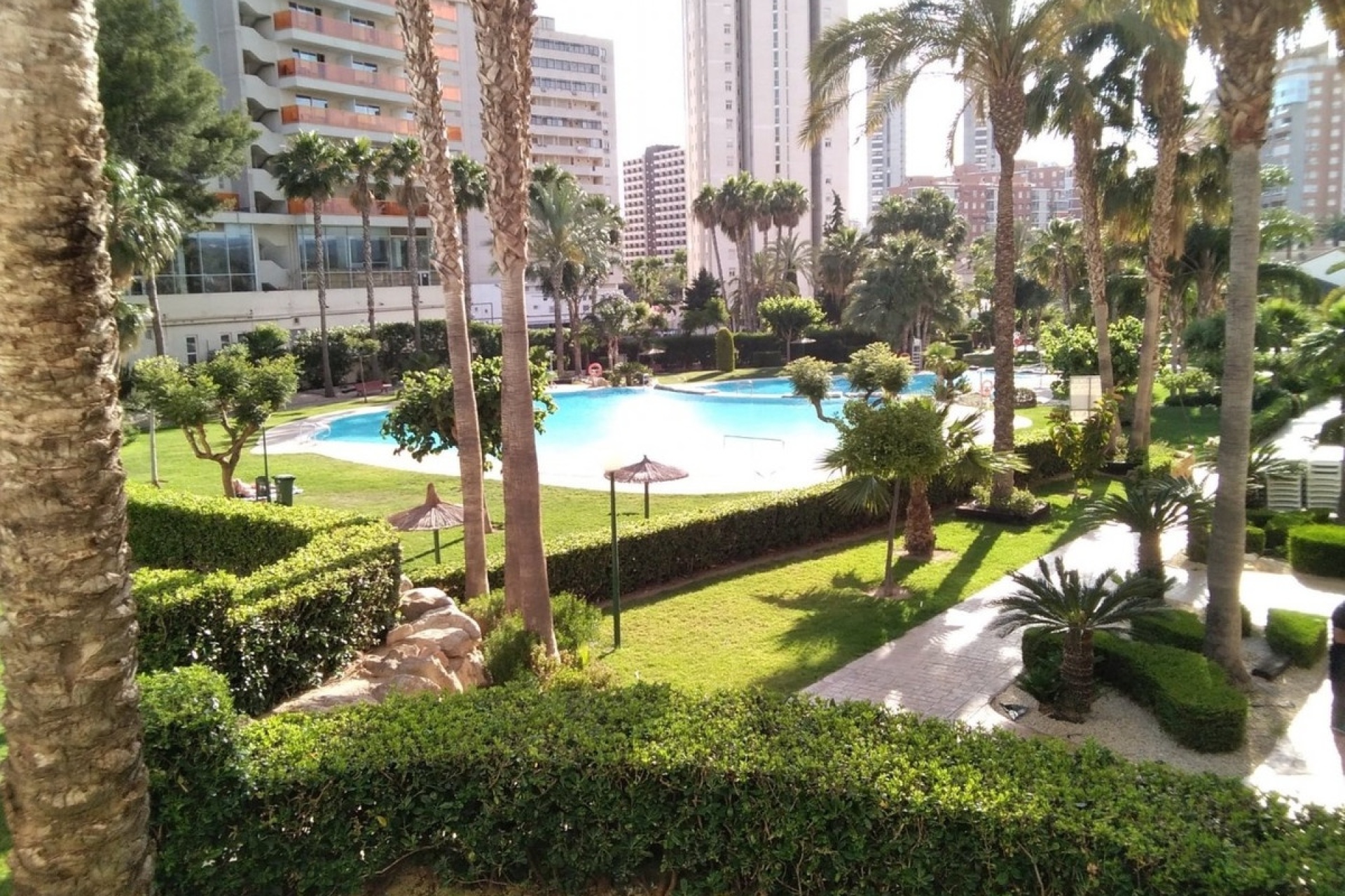 Rynek wtórny - apartment - Benidorm - Benidorm Centro