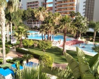 Rynek wtórny - apartment - Benidorm - Benidorm Centro