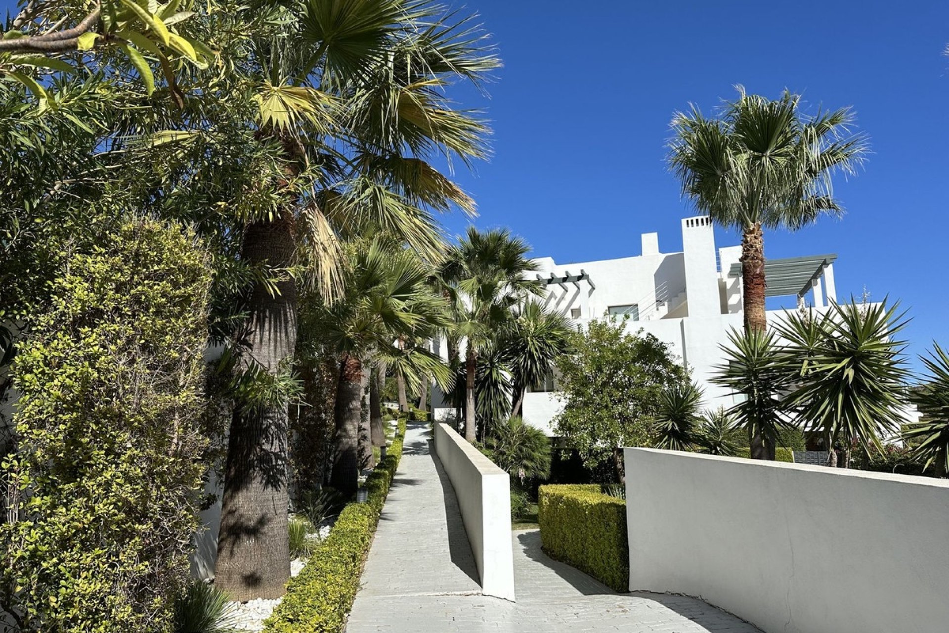 Rynek wtórny - apartment - Casares - Casares Centro