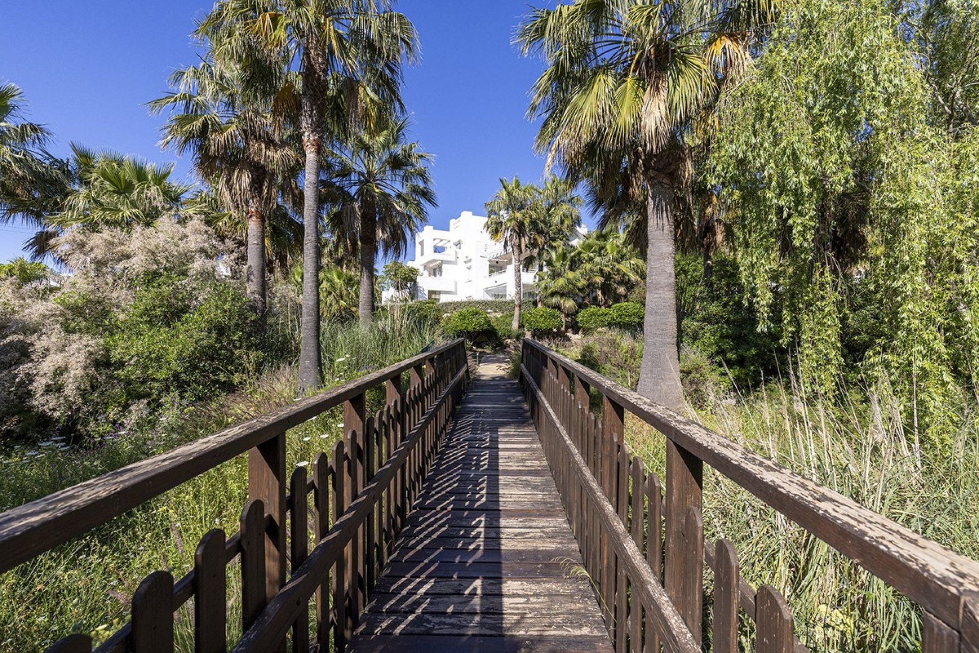 Rynek wtórny - apartment - Casares - Casares Centro