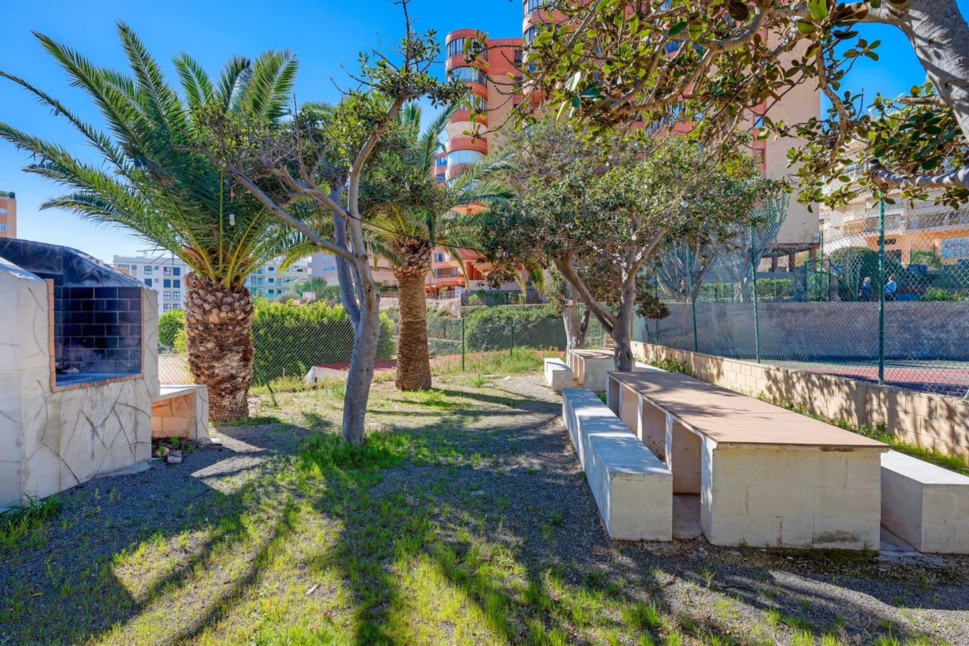 Rynek wtórny - apartment - Elche - Arenales del Sol